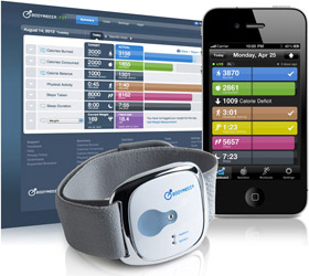 bodymedia software and apps
